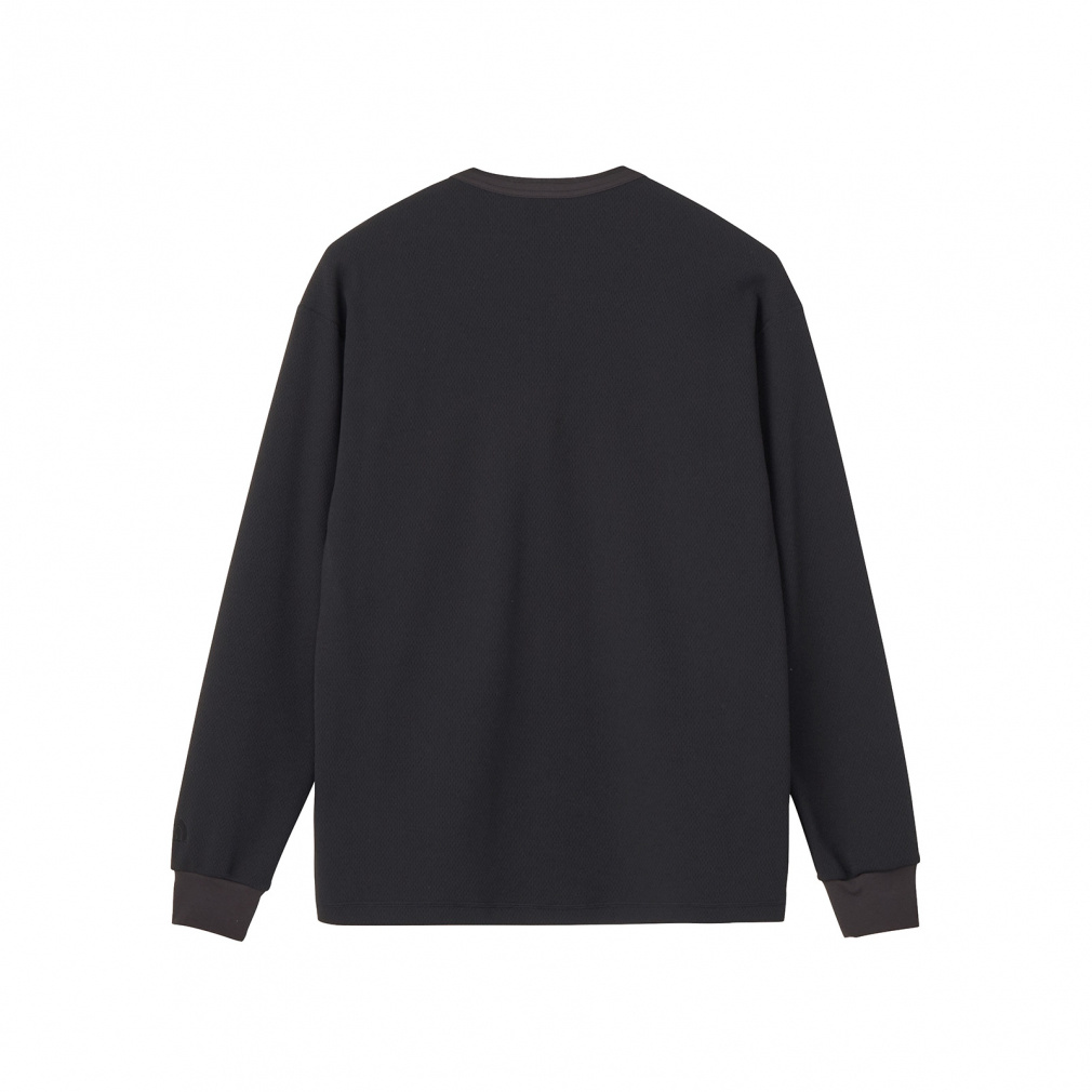 2025春夏 ザ・ノース・フェイス メンズ アウトドア 長袖Tシャツ L/S