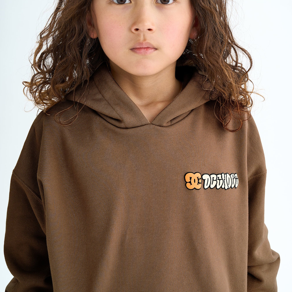 ディーシーシューズ ジュニア キッズ 子供 アウトドア スウェット