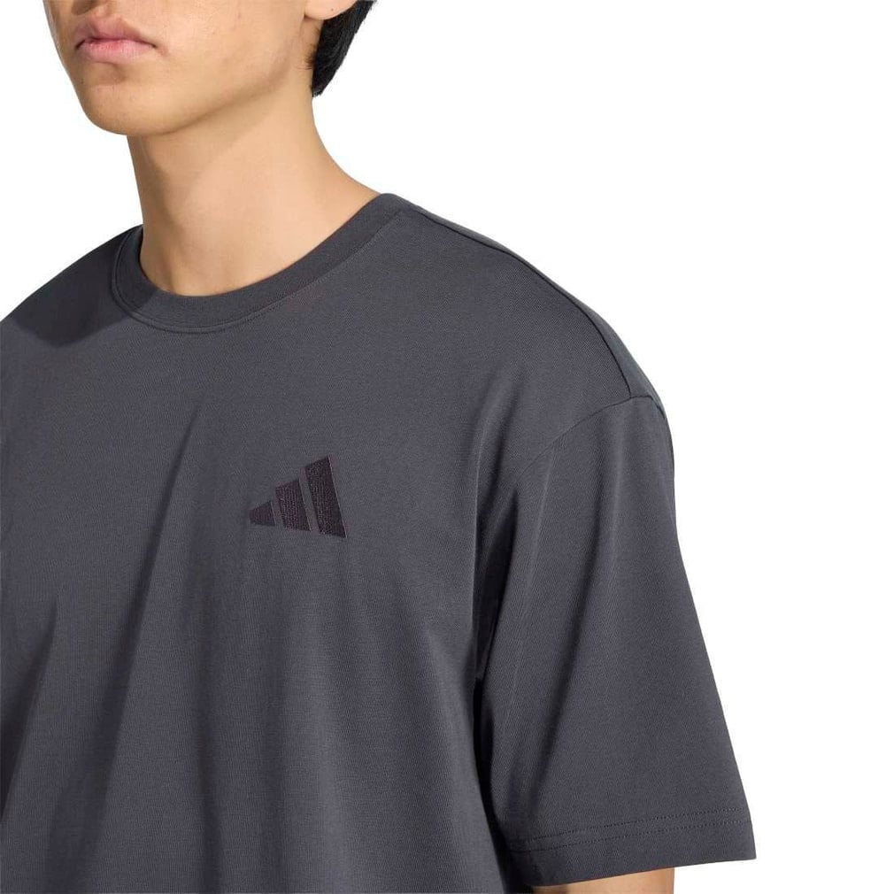 アディダス メンズ 半袖 Tシャツ アニメ グラフィック サマーTシャツ