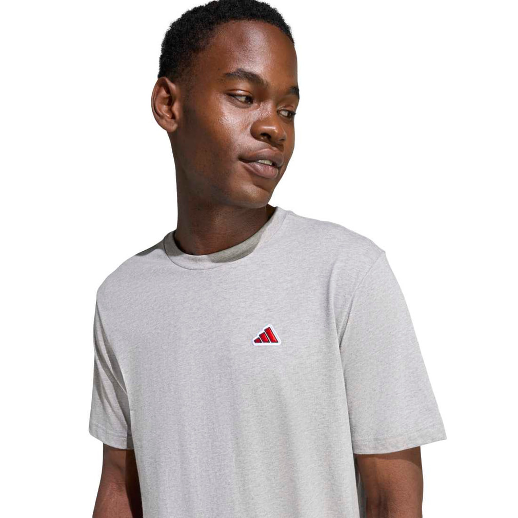 アディダス メンズ 半袖 Tシャツ COLOR ICON グラフィック Tシャツ