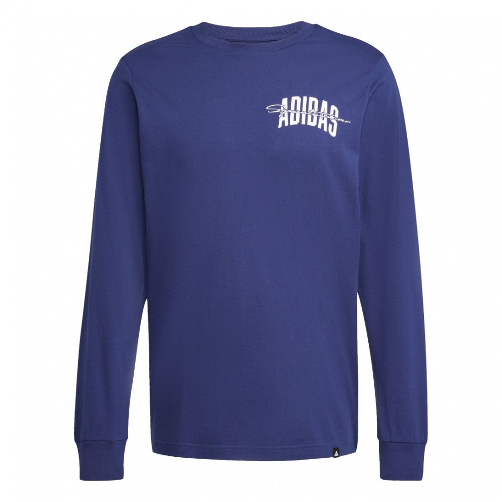 カレッジスクリプトが施された長袖のグラフィックTシャツ｜Alpen Online