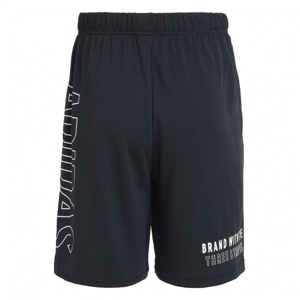 COOL TRN SHORTS BIG LOGO｜Alpen Online