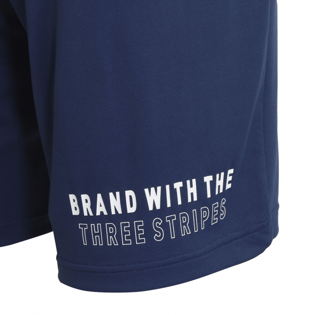 COOL TRN SHORTS BIG LOGO｜Alpen Online
