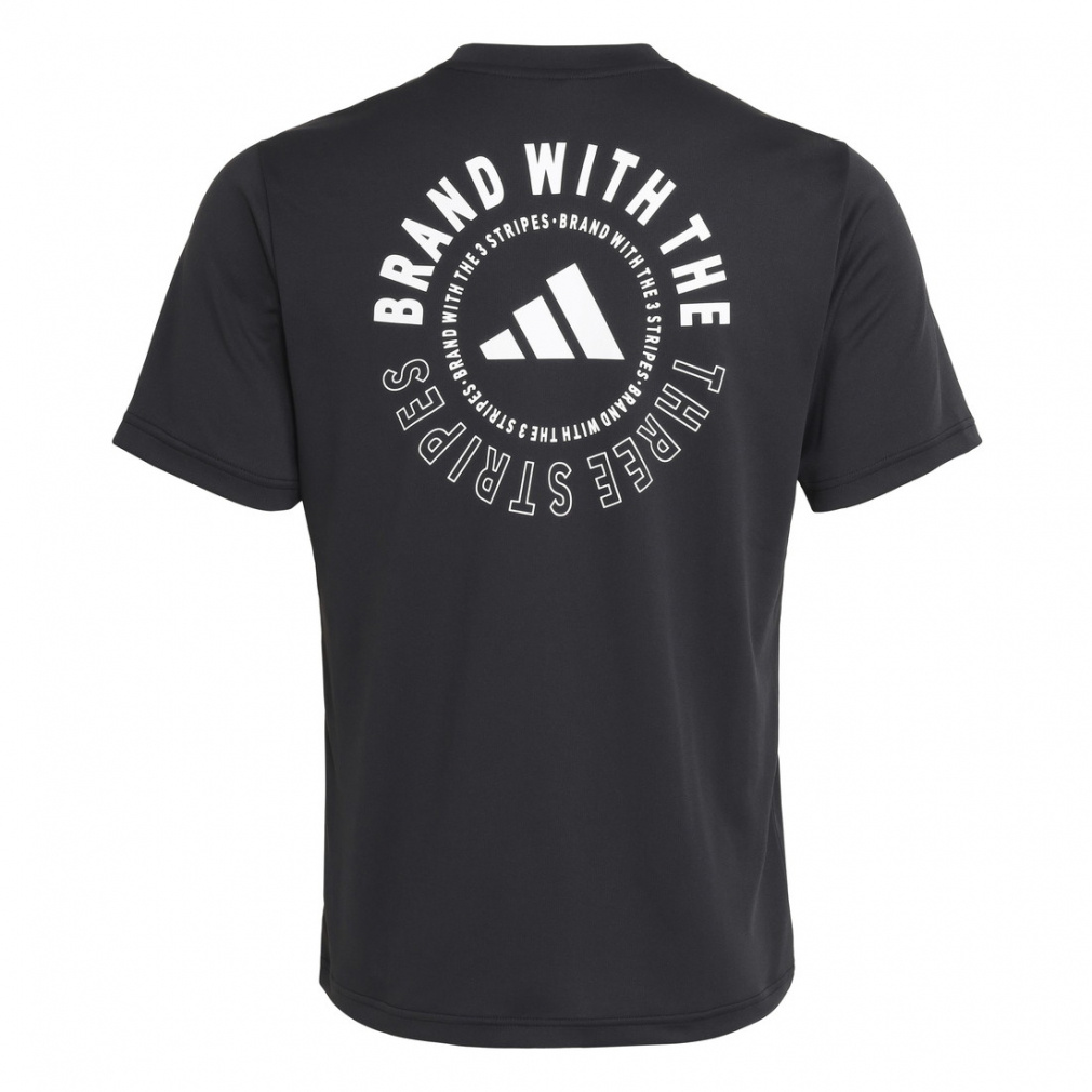 COOL TRN SS TEE BACK P｜Alpen Online