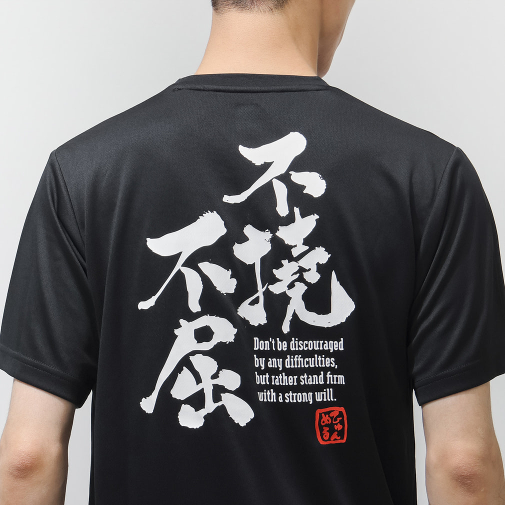ヒュンメル メンズ 半袖 機能 Tシャツ グラフィックTシャツ HAY2152AP