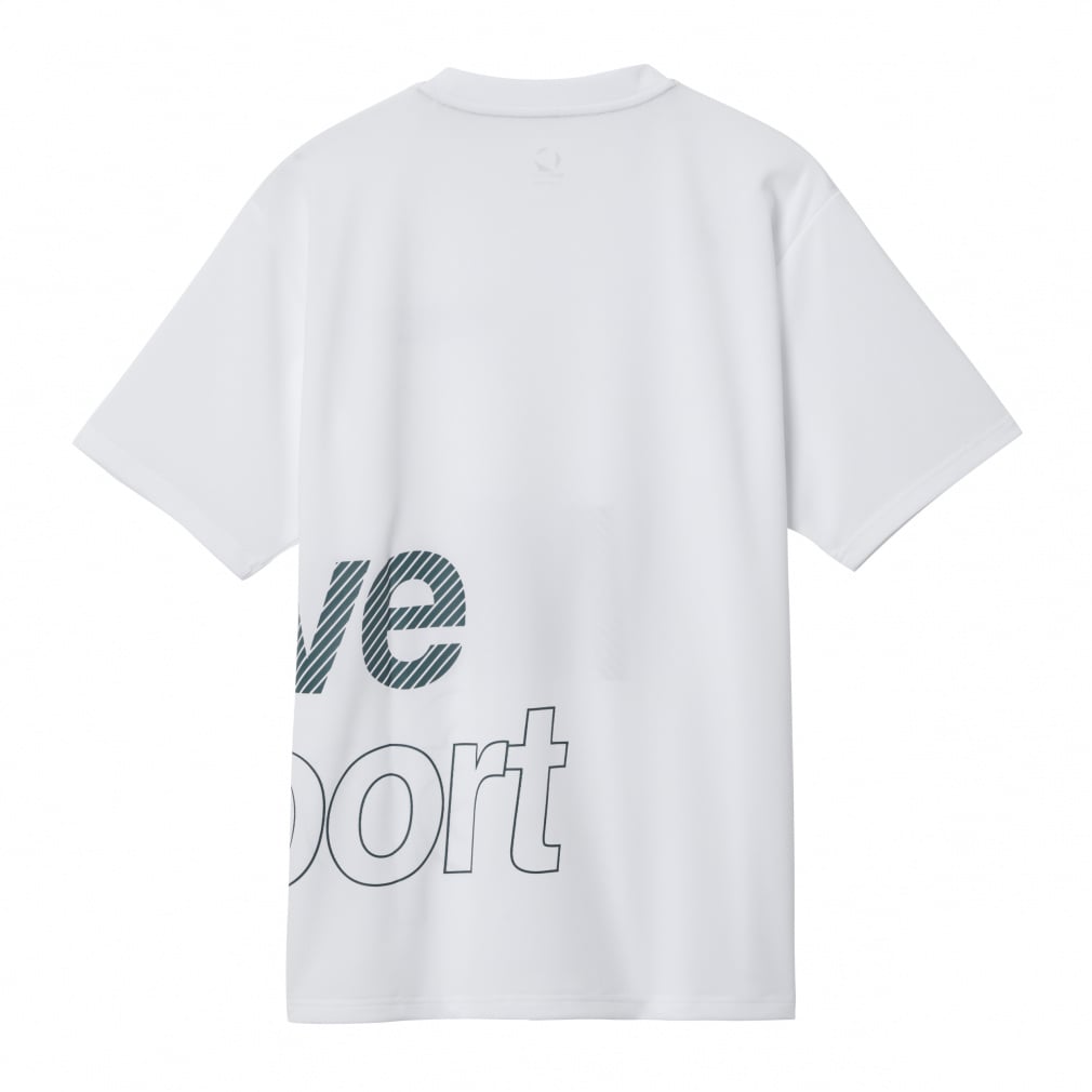 デサント メンズ 半袖 機能 Tシャツ ドライメッシュ ビックロゴ 半袖