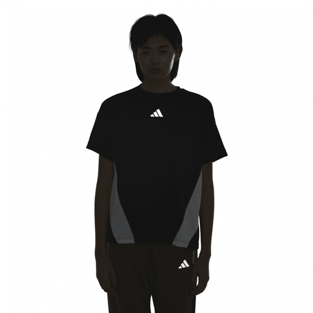 カラーブロック 半袖Tシャツ｜Alpen Online