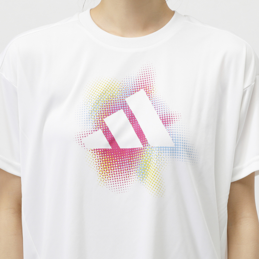 アルペン限定 W グラデーションSL ポリ Tシャツ AP｜Alpen Online