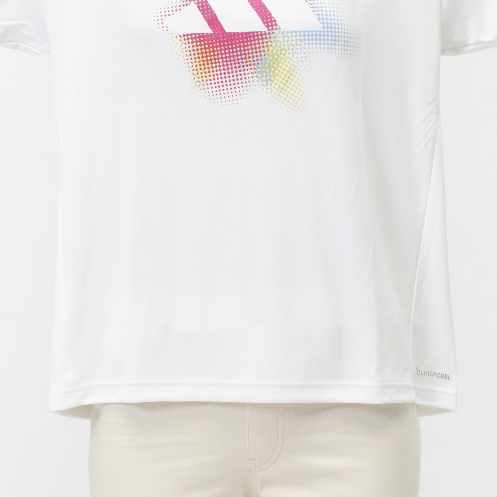 トップス agu アルペン限定 W グラデーションSL ポリ Tシャツ AP｜Alpen Online