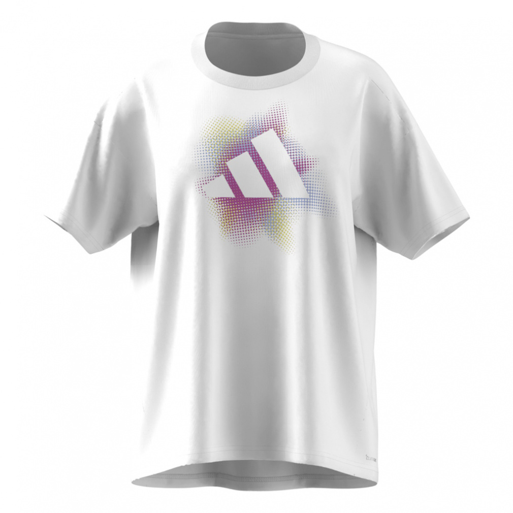 アルペン限定 W グラデーションSL ポリ Tシャツ AP｜Alpen Online