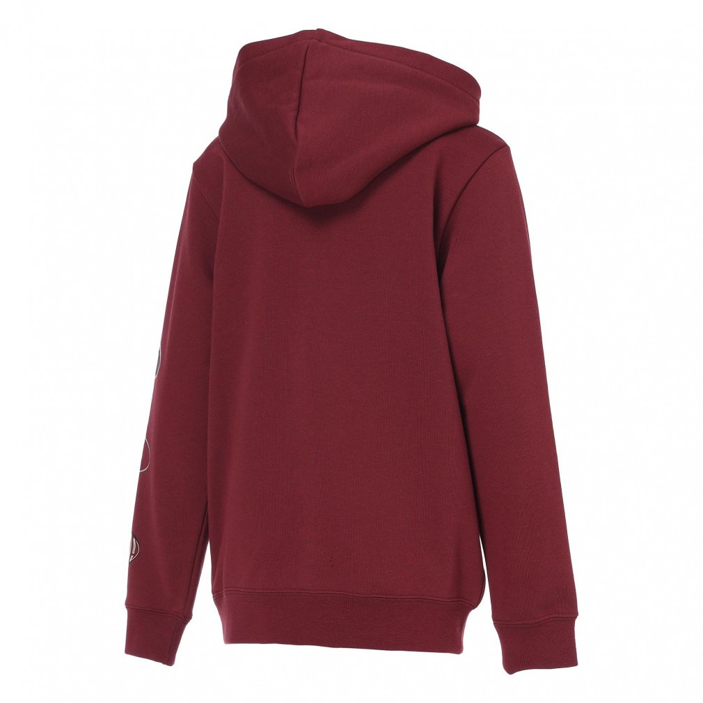 プーマ ジュニア キッズ 子供 スウェット パーカー ESS LOGO LAB